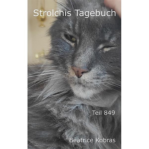 Strolchis Tagebuch - Teil 849 / Strolchis Tagebuch Bd.849, Beatrice Kobras