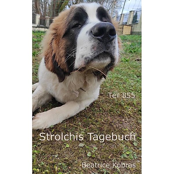 Strolchis Tagebuch - Teil 855 / Strolchis Tagebuch Bd.855, Beatrice Kobras