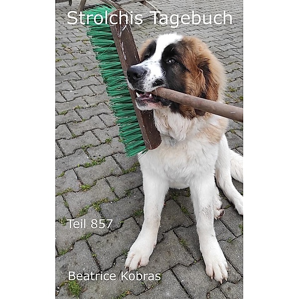 Strolchis Tagebuch - Teil 857 / Strolchis Tagebuch Bd.857, Beatrice Kobras