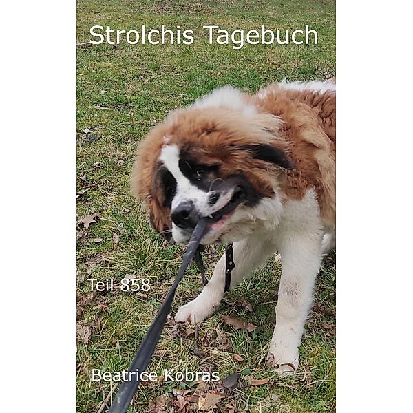Strolchis Tagebuch - Teil 858 / Strolchis Tagebuch Bd.858, Beatrice Kobras