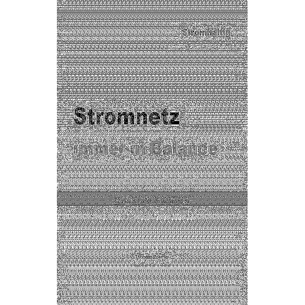 Stromnetz, Thorsten Zoerner