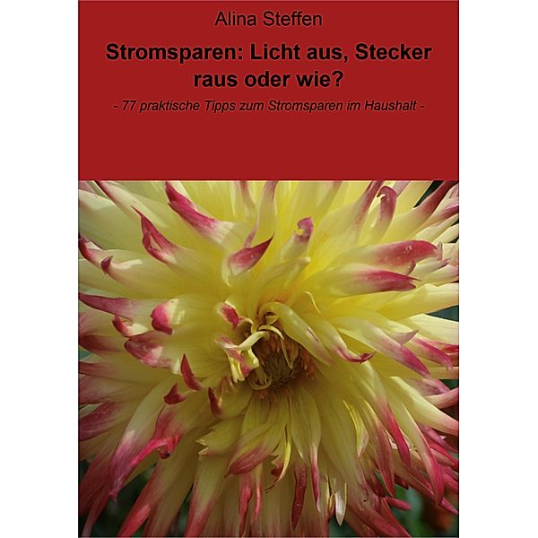 Stromsparen: Licht aus, Stecker raus oder wie?, Alina Steffen