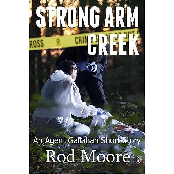Strong Arm Creek (Agent Gallahan, #1), Rod Moore