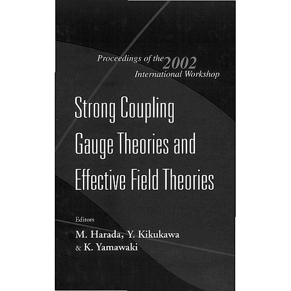 Strong Coupling Gauge Theories And Effective Field Theories, Proceedings Of The 2002 International Workshop