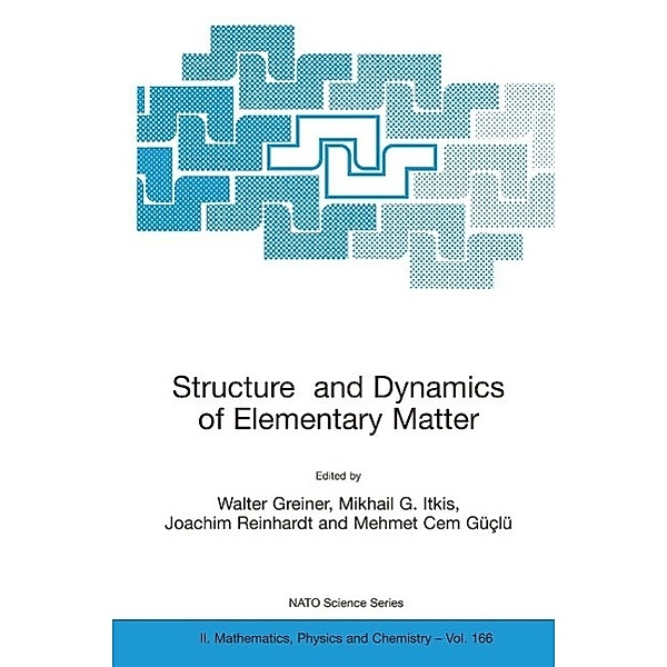 Structure and Dynamics of Elementary Matter / NATO Science Series II: Mathematics, Physics and Chemistry Bd.166