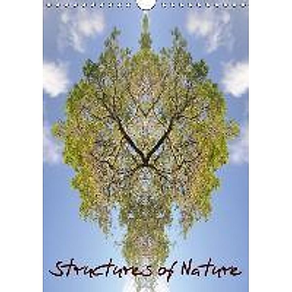 Structures of Nature (Wandkalender 2016 DIN A4 hoch), Sylvia Ochsmann