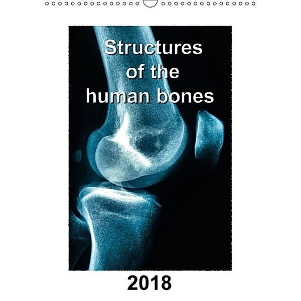Structures of the human bones (Wall Calendar 2018 DIN A3 Portrait), Georg Hanf