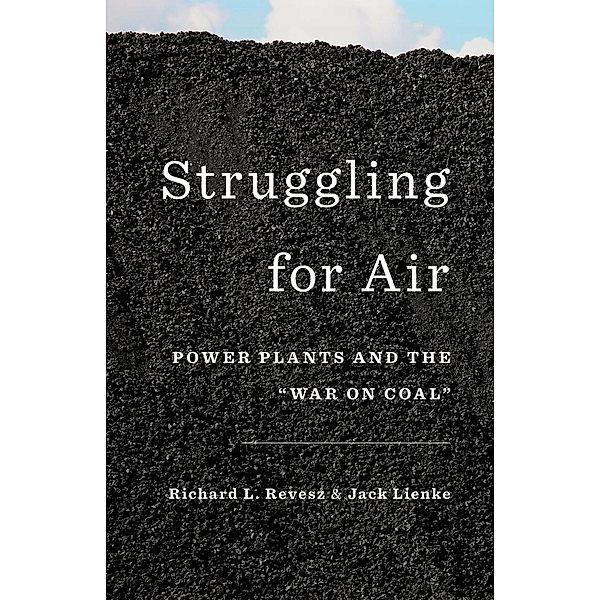 Struggling for Air, Richard Revesz, Jack Lienke