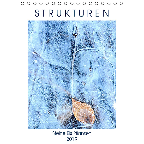 Strukturen - Steine, Eis, Pflanzen (Tischkalender 2019 DIN A5 hoch), Viktoria Baier