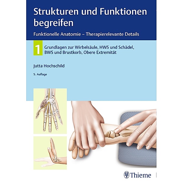 Strukturen und Funktionen begreifen, Funktionelle Anatomie / Physiofachbuch, Jutta Hochschild