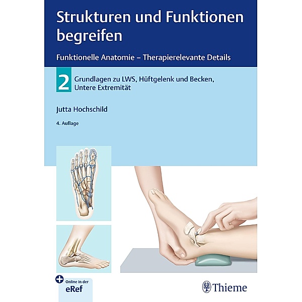 Strukturen und Funktionen begreifen - Funktionelle Anatomie / Physiofachbuch, Jutta Hochschild
