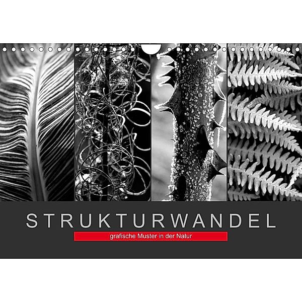 Strukturwandel, grafische Muster in der Natur (Wandkalender 2023 DIN A4 quer), Fotokullt