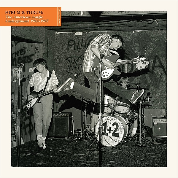 Strum & Thrum: The American Jangle Underground (Vinyl), Diverse Interpreten