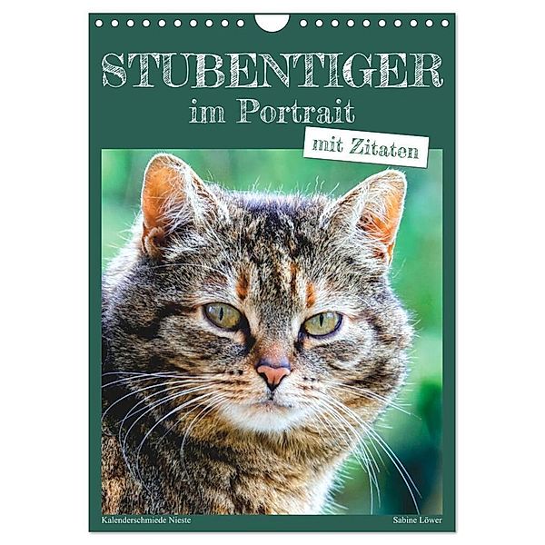 Stubentiger im Portrait (Wandkalender 2024 DIN A4 hoch), CALVENDO Monatskalender, Sabine Löwer