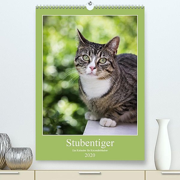 Stubentiger(Premium, hochwertiger DIN A2 Wandkalender 2020, Kunstdruck in Hochglanz), Harald Wagener