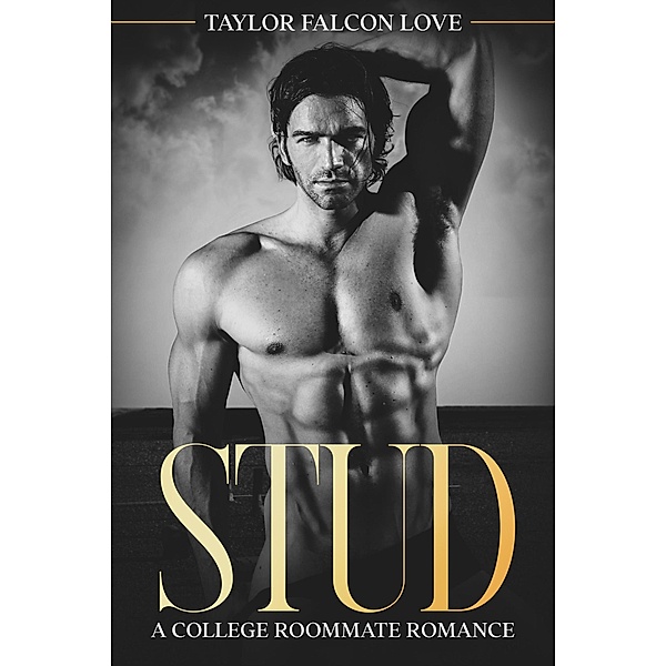 Stud, Taylor Falcon Love