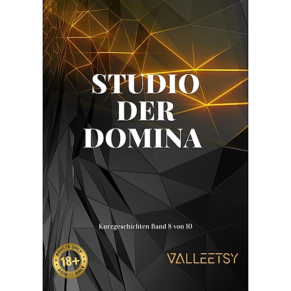 Studio der Domina (10 Kurzgeschichten, #8) / 10 Kurzgeschichten, Maria Valleetsy