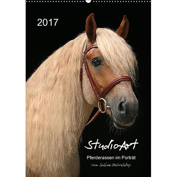 StudioArt Pferderassen im Porträt (Wandkalender 2017 DIN A2 hoch), Sabine Heüveldop