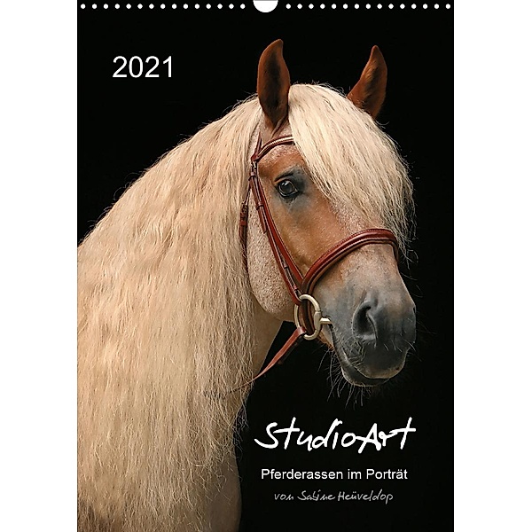 StudioArt Pferderassen im Porträt (Wandkalender 2021 DIN A3 hoch), Sabine Heüveldop