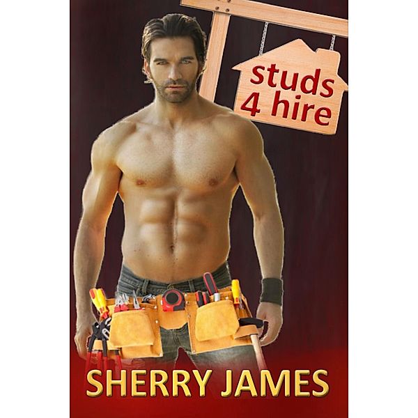 Studs 4 Hire Boxed Set / Sherry James, Sherry James