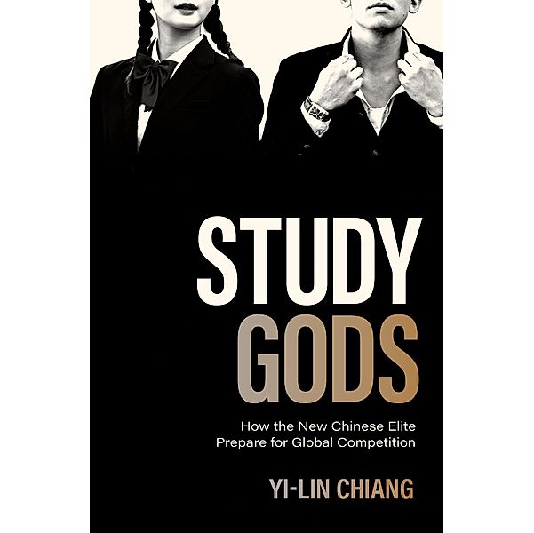 Study Gods / Princeton Studies in Contemporary China Bd.15, Yi-Lin Chiang