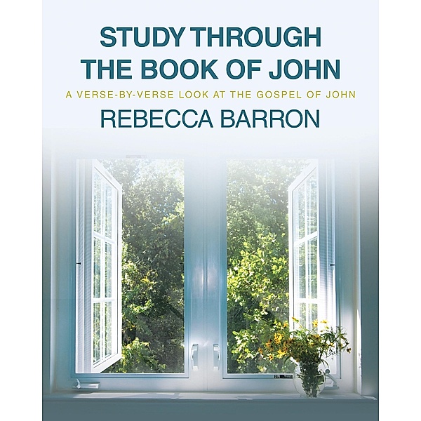 Study Through the Book of John, Rebecca Barron
