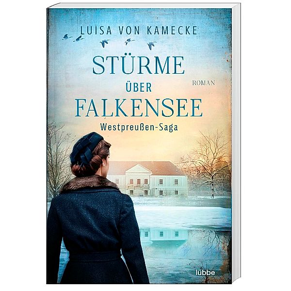 Stürme über Falkensee / Gut Falkensee Bd.3, Luisa von Kamecke