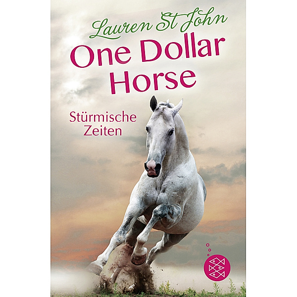 Stürmische Zeiten / One Dollar Horse Bd.3, Lauren St. John