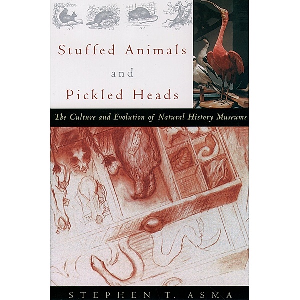 Stuffed Animals and Pickled Heads, Stephen T. Asma
