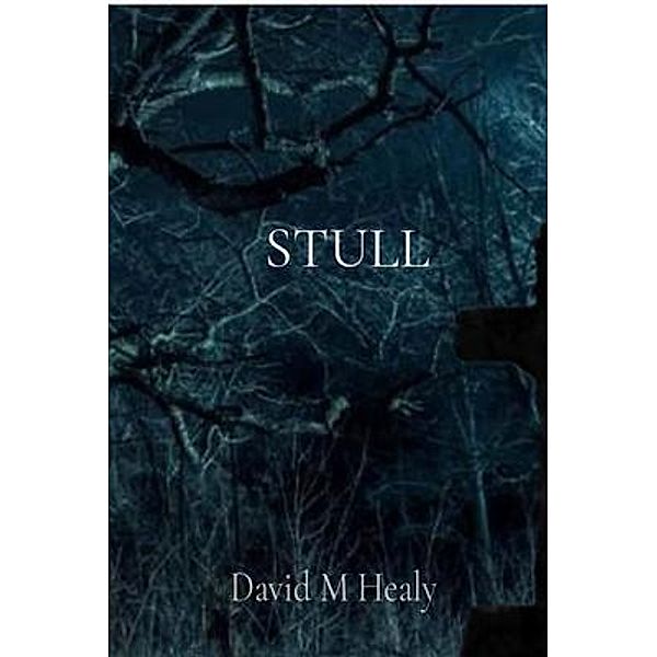 STULL / David M Healy, David Healy