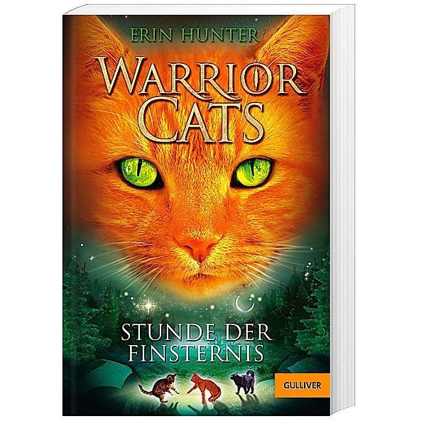 Stunde der Finsternis / Warrior Cats Staffel 1 Bd.6, Erin Hunter