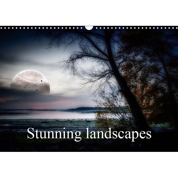 Stunning landscapes (Wall Calendar 2019 DIN A3 Landscape), Alain Gaymard