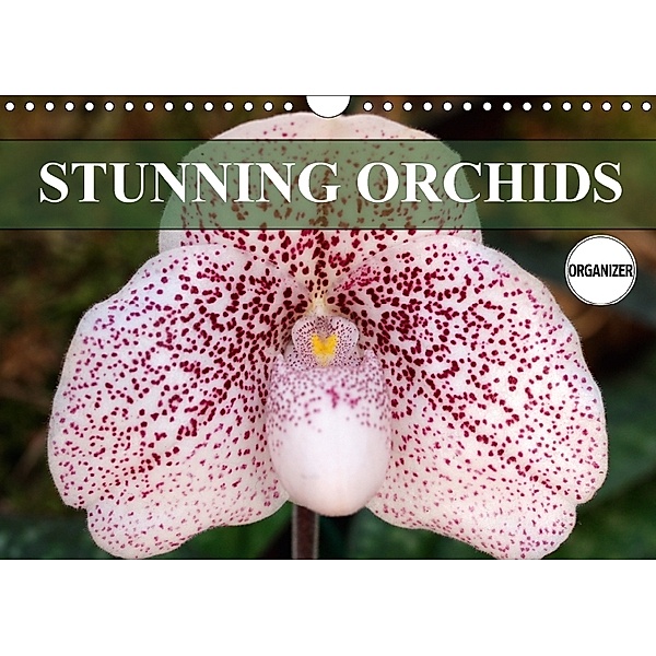 Stunning Orchids (Wall Calendar 2018 DIN A4 Landscape), Gisela Kruse