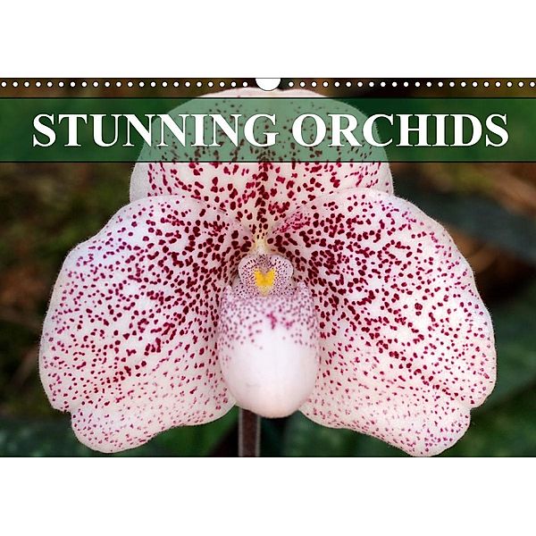 Stunning Orchids (Wall Calendar 2021 DIN A3 Landscape), Gisela Kruse