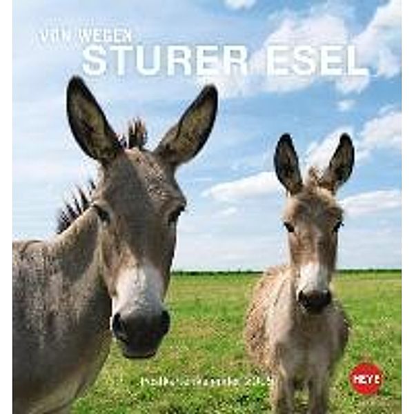 Sturer Esel Postkartenkalender 2015