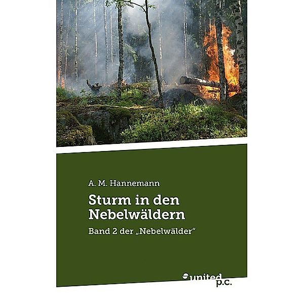 Sturm in den Nebelwäldern, A. M. Hannemann