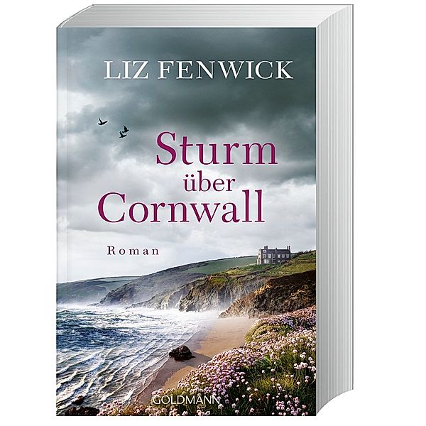 Sturm über Cornwall, Liz Fenwick