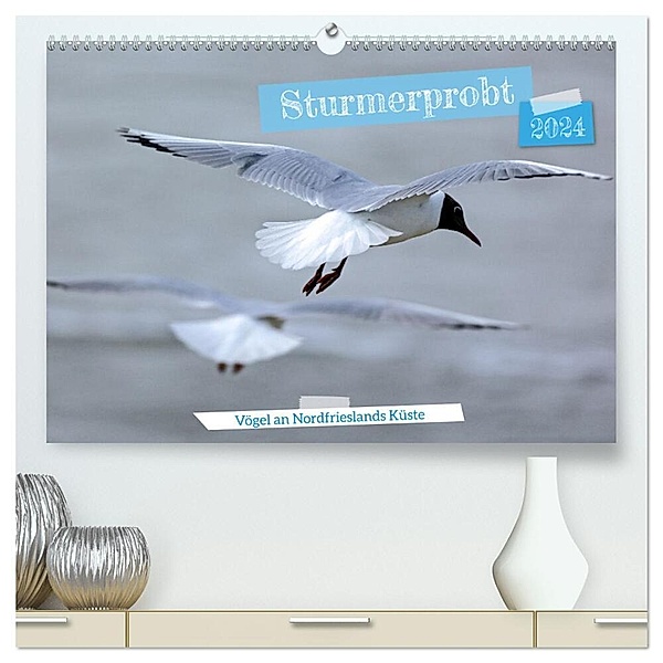 Sturmerprobt - Vögel an Nordfrieslands Küste (hochwertiger Premium Wandkalender 2024 DIN A2 quer), Kunstdruck in Hochglanz, Gisela Braunleder