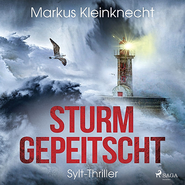 Sturmgepeitscht: Sylt-Thriller, Markus Kleinknecht