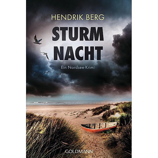 Sturmnacht / Ein Fall für Theo Krumme Bd.10, Hendrik Berg