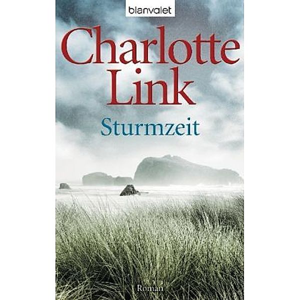 Sturmzeit Band 1: Sturmzeit, Charlotte Link