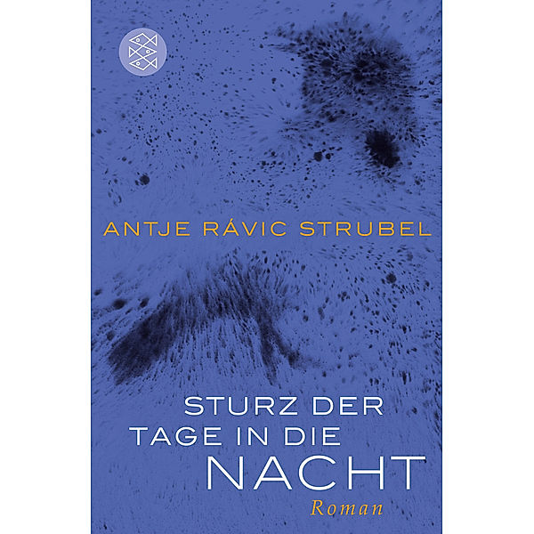 Sturz der Tage in die Nacht, Antje Rávik Strubel