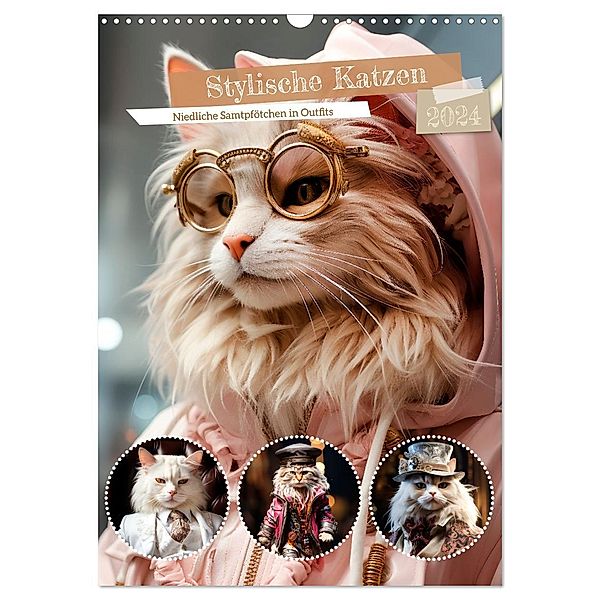 Stylische Katzen (Wandkalender 2024 DIN A3 hoch), CALVENDO Monatskalender, Calvendo, Melanie Viola