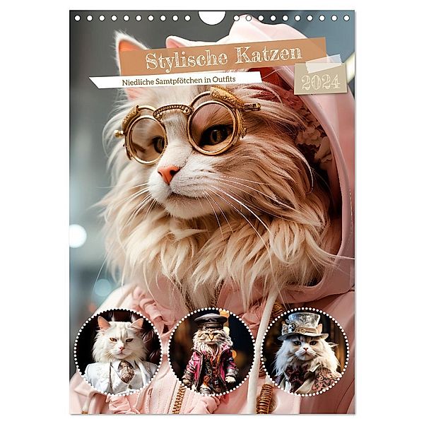 Stylische Katzen (Wandkalender 2024 DIN A4 hoch), CALVENDO Monatskalender, Calvendo, Melanie Viola