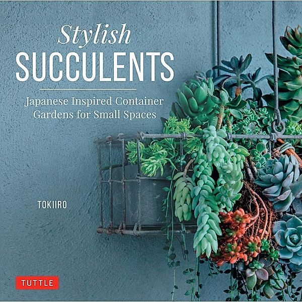 Stylish Succulents, Yoshinobu Kondo, Tomomi Kondo