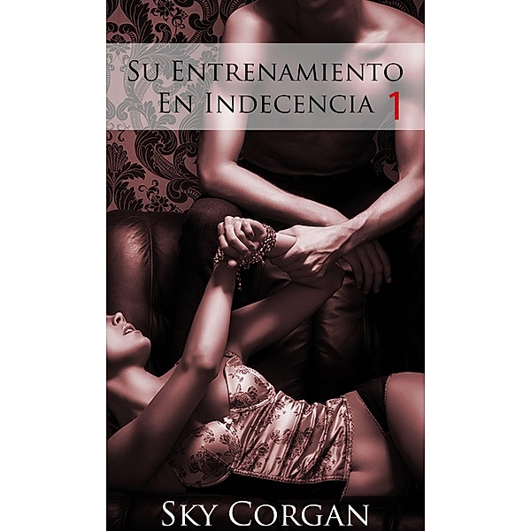 Su Entrenamiento En Indecencia / Babelcube, Sky Corgan