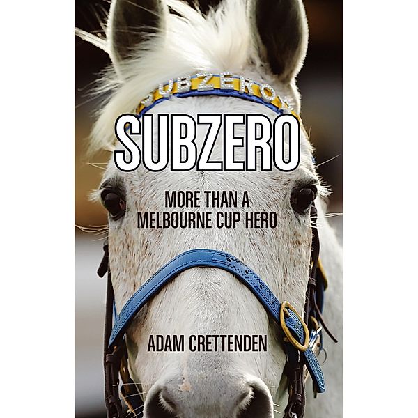 Subzero / Puffin Classics, Adam Crettenden