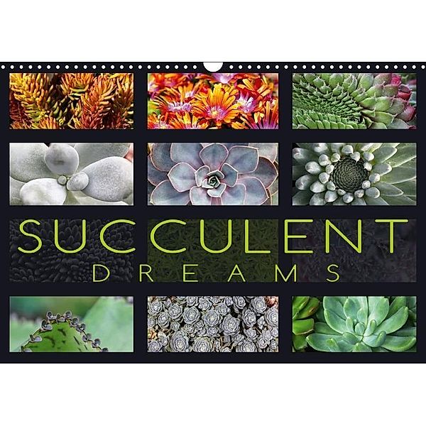 Succulent Dreams (Wall Calendar 2017 DIN A3 Landscape), Martina Cross