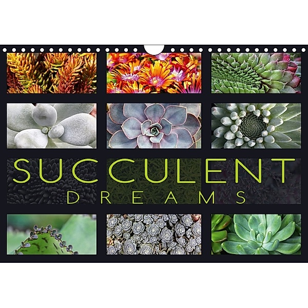 Succulent Dreams (Wall Calendar 2018 DIN A4 Landscape), Martina Cross