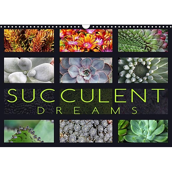 Succulent Dreams (Wall Calendar 2023 DIN A3 Landscape), Martina Cross